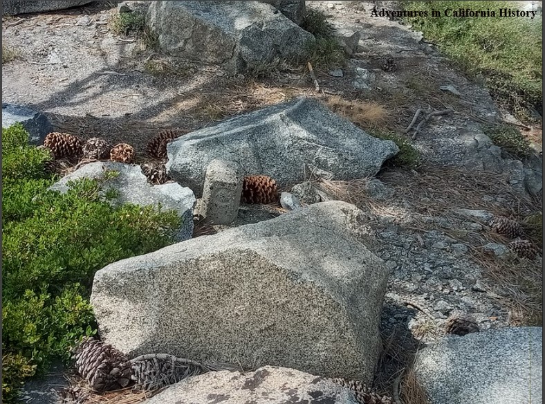 "C" Monument and pine cone